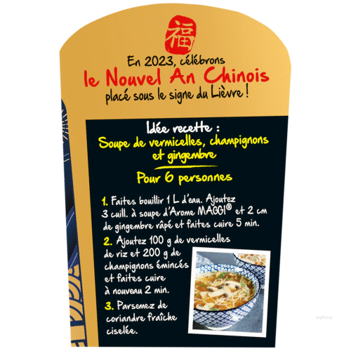 250G FLACON AROME MAGGI