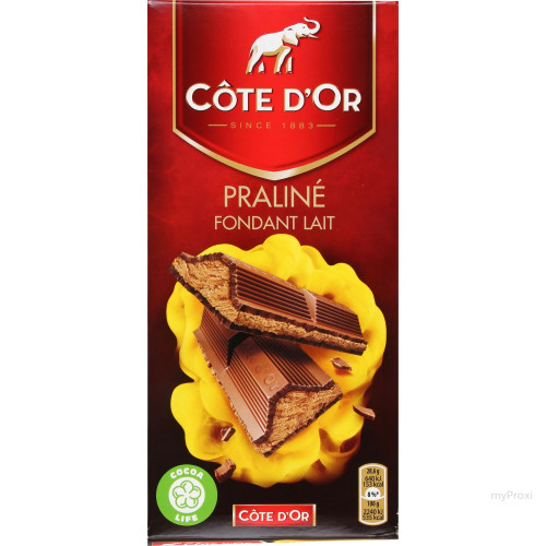 200G PRALINE FOND.LT COTE D OR