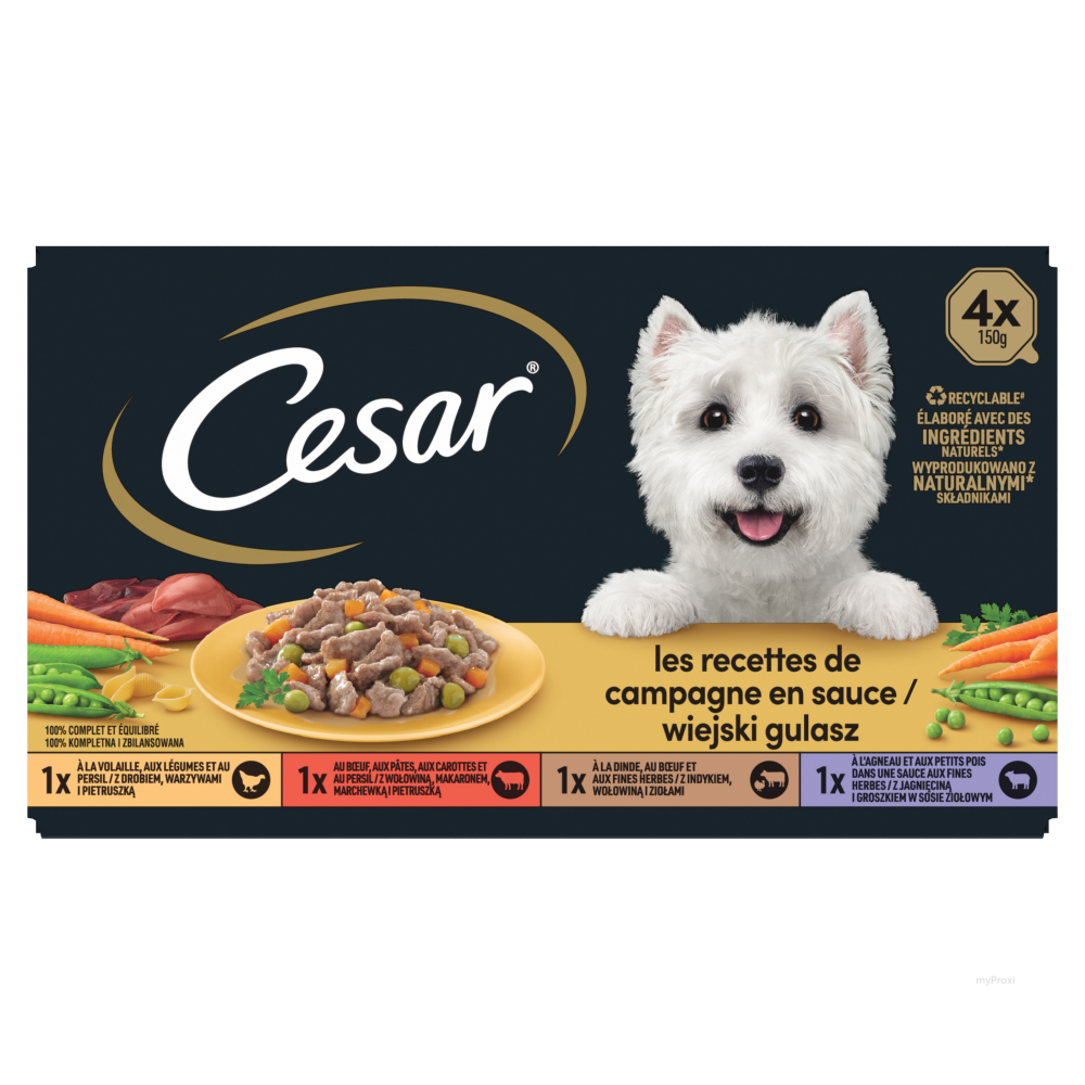 CESAR BQ MINI FLT