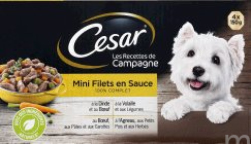 CESAR BQ MINI FLT