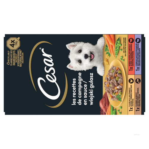 CESAR BQ MINI FLT
