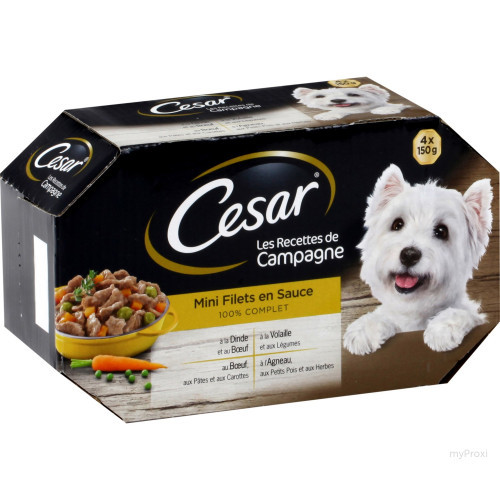 CESAR BQ MINI FLT