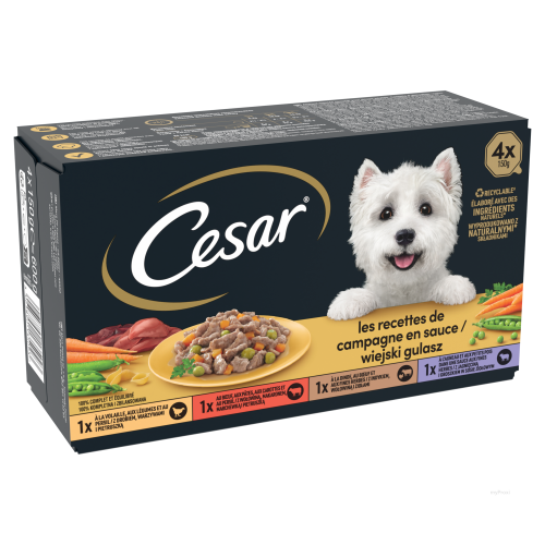 CESAR BQ MINI FLT