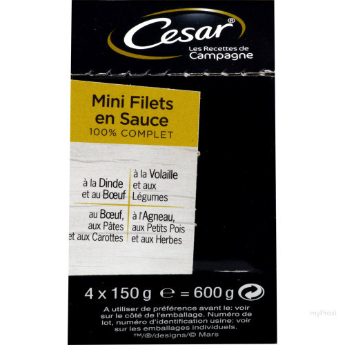 CESAR BQ MINI FLT