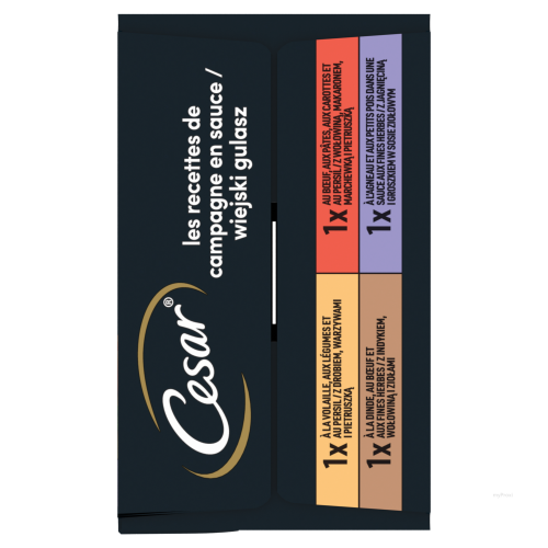 CESAR BQ MINI FLT