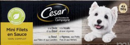 CESAR BQ MINI FLT