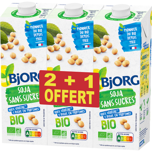 LOT 2+1 SOJAS NATU