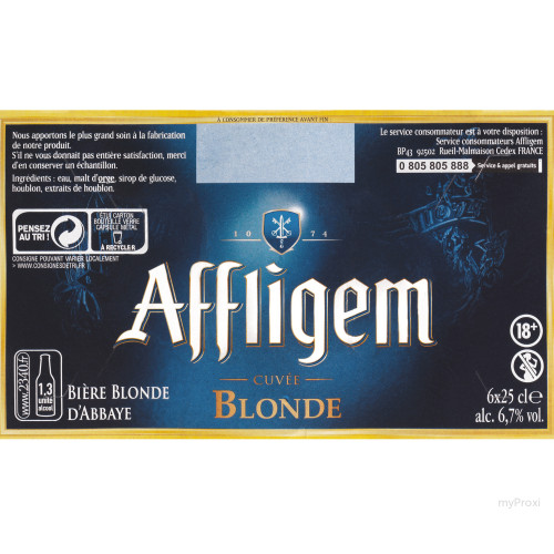 BIERE AFFLIGEM X6