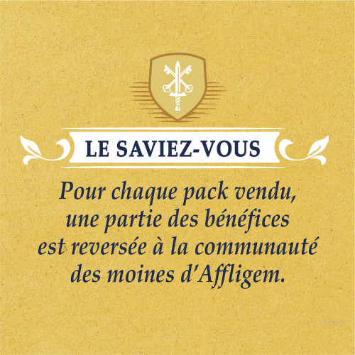 BIERE AFFLIGEM X6
